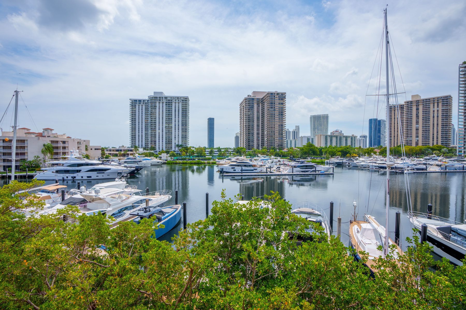 Marina view