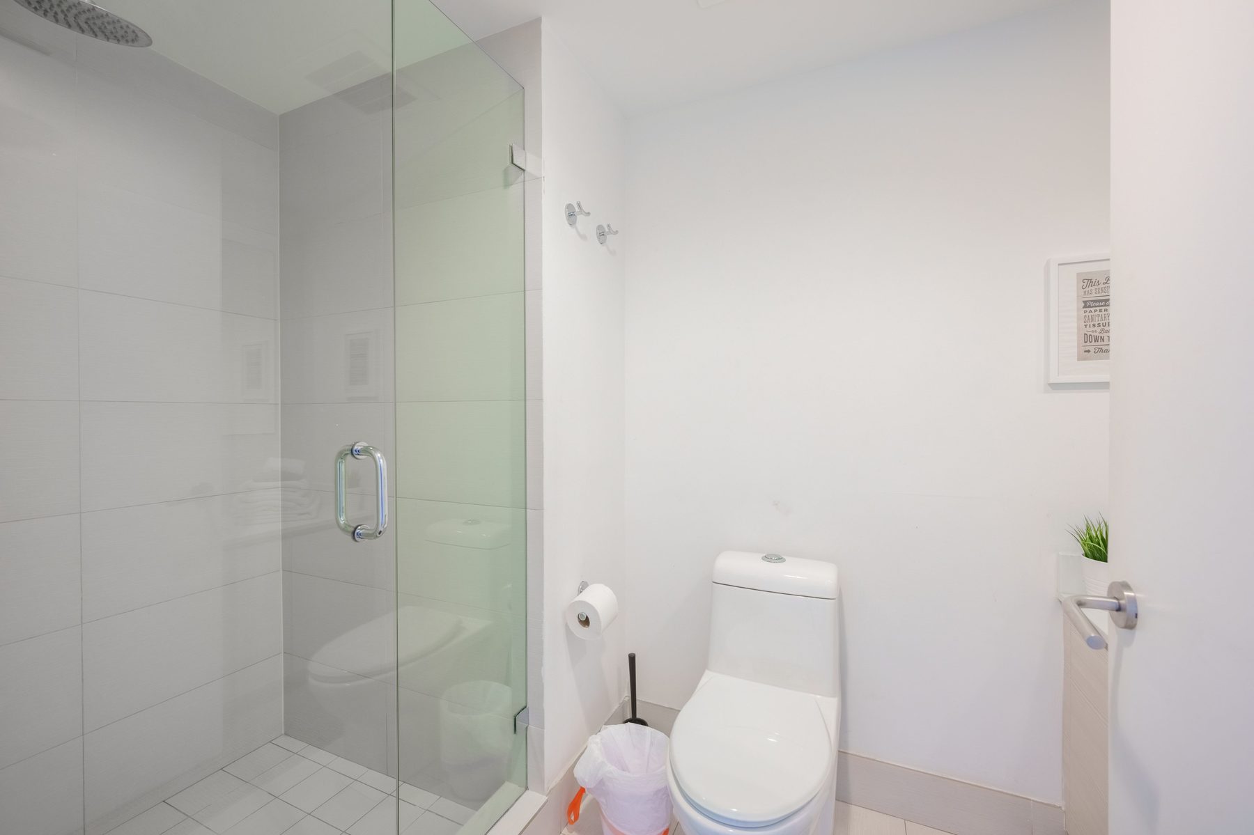 Second bathroom, shower and toilet
