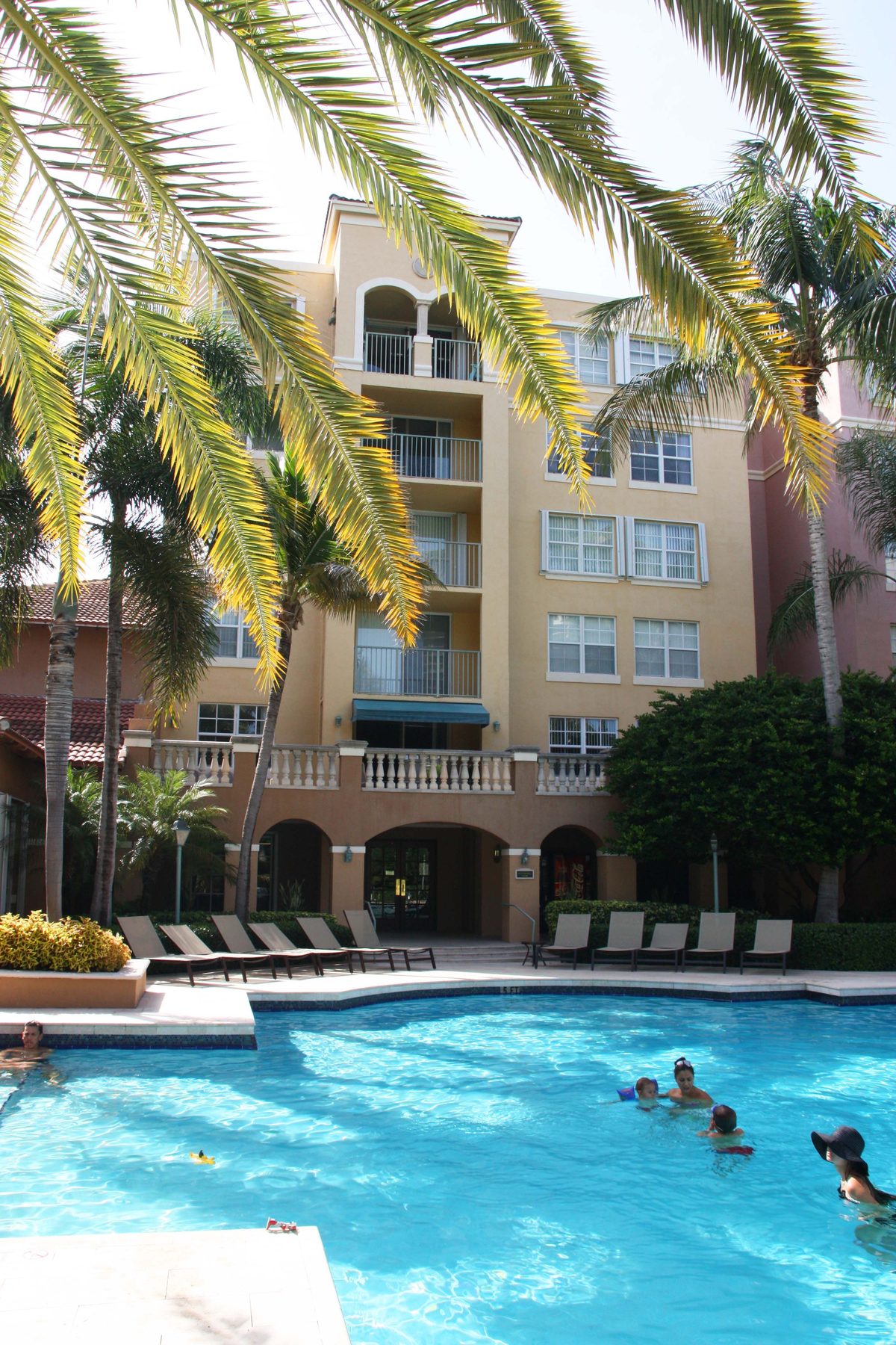 Pool with palm trees